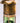 Pure Brass Miner Lamp