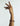 Designer Heavy Twisted Bangle - Meraki Copper