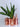 Shampion Bottle - Meraki Copper